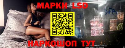 шишки Славгород