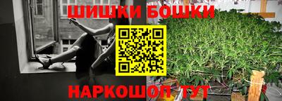 шишки Славгород